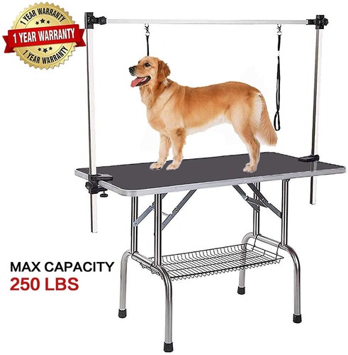 Professional dog grooming - dog,